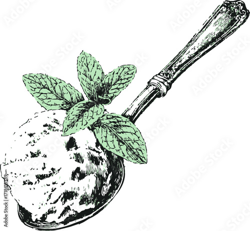 Mint ice cream scoop with mint leaves sketch hand drawn on vintage spoon — stock vector