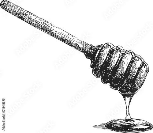 Honey dipper sketch hand drawn with honey dripping, vintage kitchen utensil — stock vector