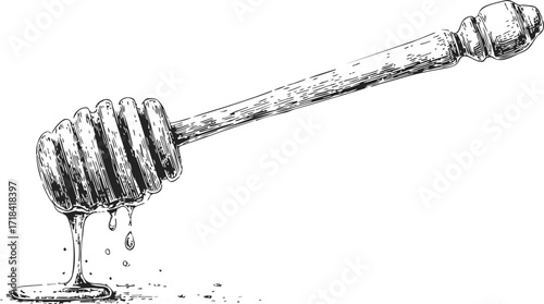 Honey dipper sketch hand drawn with dripping honey and detailed wood texture — stock vector