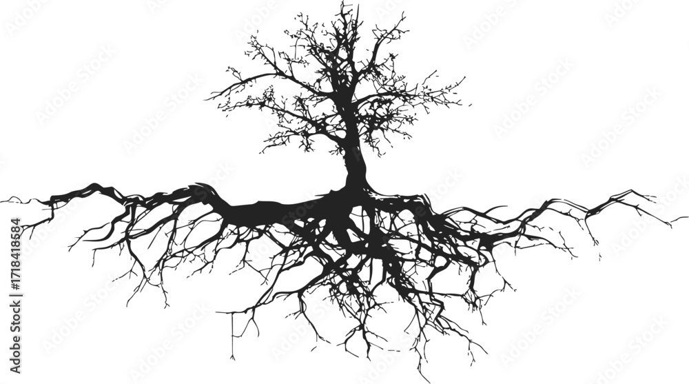 Fototapeta premium Tree with exposed roots sketch, hand drawn silhouette, isolated on white — stock vector
