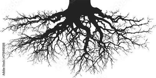 Tree roots sketch, hand drawn vector, intricate underground branching system — stock vector