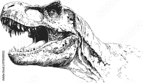 Tyrannosaurus rex sketch, hand drawn vector, roaring dinosaur head in profile, detailed black and white illustration — stock — stock vector