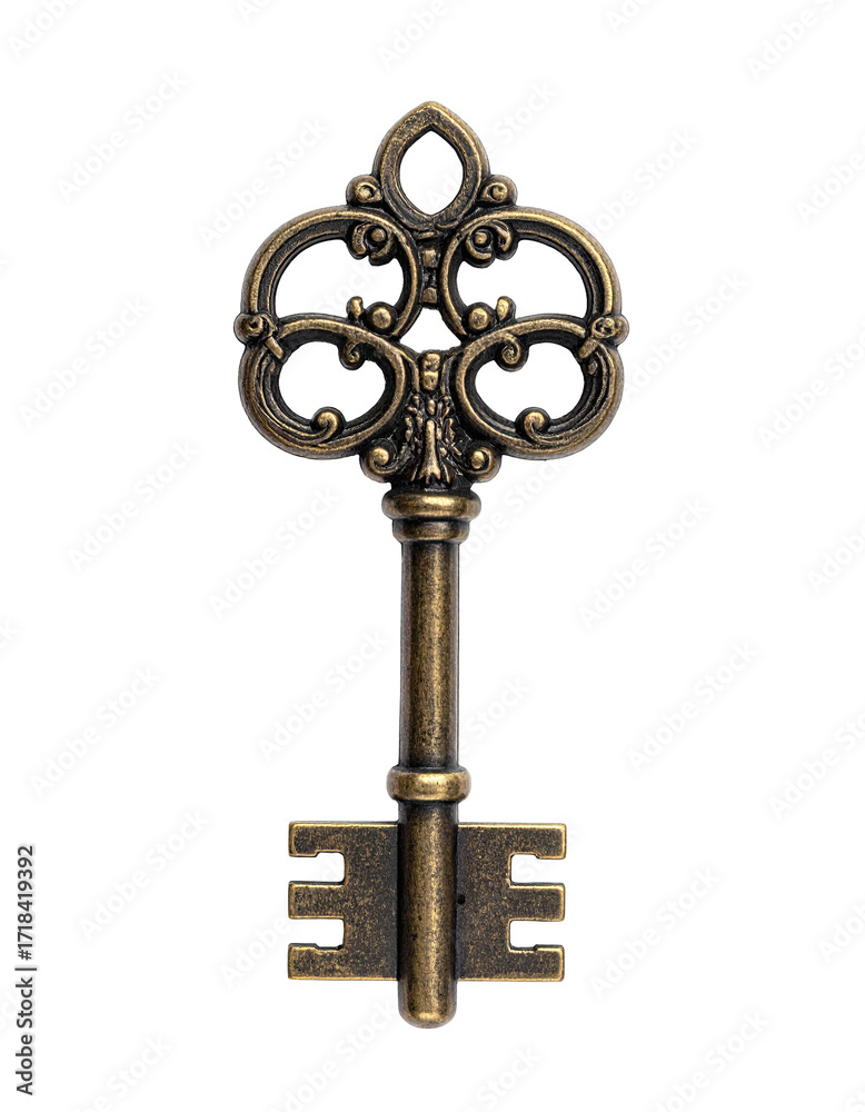 Obraz premium Ornate antique-style key