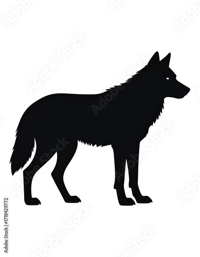 Silhouette of a wolf