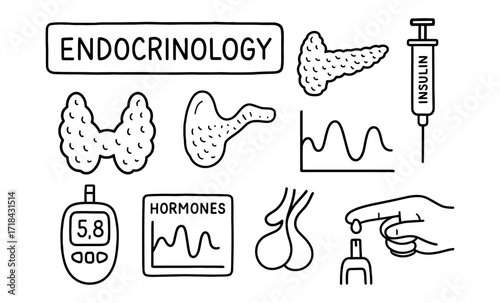 Hand-drawn endocrinology elements: pancreas, hormones, insulin, and thyroid symbols