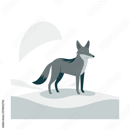 vintage jackal standing in snow covered fields