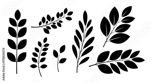 A curated set of black branch and leaf silhouettes, isolated vector graphic elements for botanical and nature-themed designs