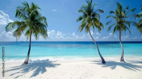 Fototapeta Naklejka Na Ścianę i Meble -  Tropical paradise  luxurious maldives beach with white sand and palm trees for ultimate getaway
