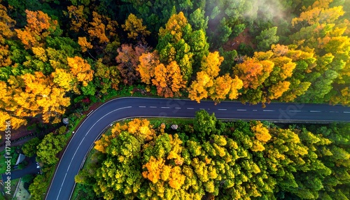 Fototapeta Naklejka Na Ścianę i Meble -  Autumnal forest road