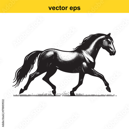 Vector art of elegant black horse running vector illustration