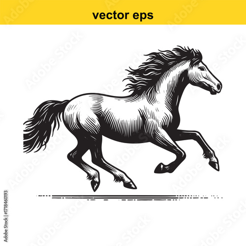 Vector art of running horse vector illustration in engraving style