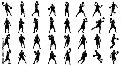 View of solar panels over rows of crops in a field on a sunny day with green trees in the background