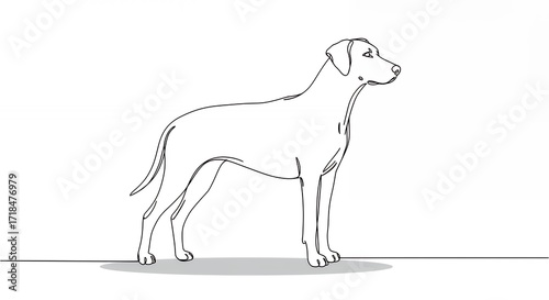 Profile view of a dog