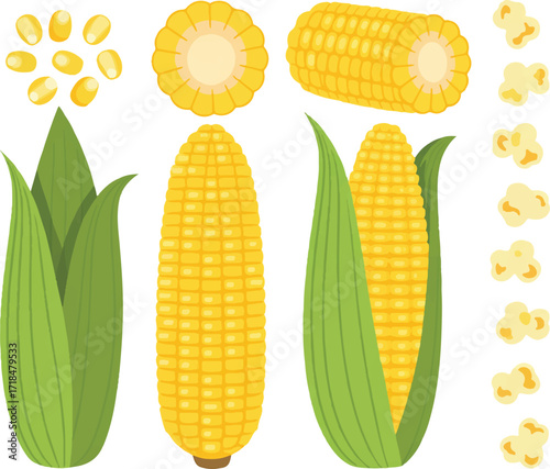 corn on the cob