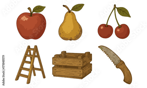 Rustic fruit harvest with ladder, crate, and knife in vintage style