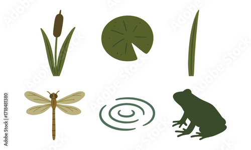 Minimalist nature elements: dragonfly, frog, lily pad, and reeds