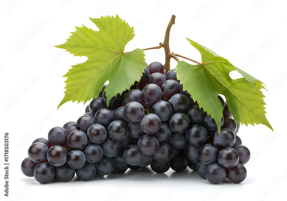 Fototapeta premium A cluster of plump, dark purple grapes with vibrant green leaves surrounding them, set against a white background.
