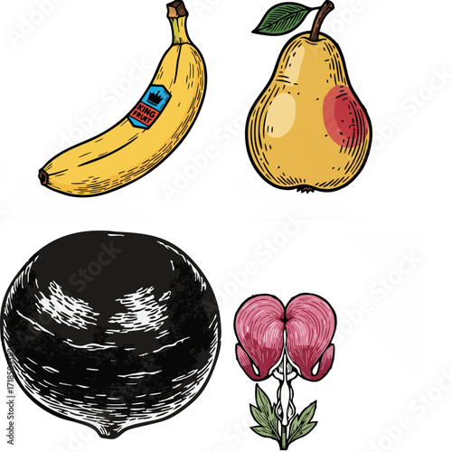 linocut print style fruits & plants