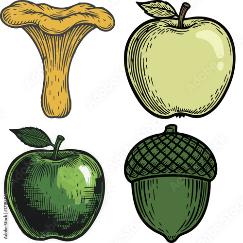 linocut print style fruits & plants