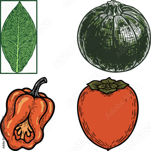 linocut print style fruits & plants