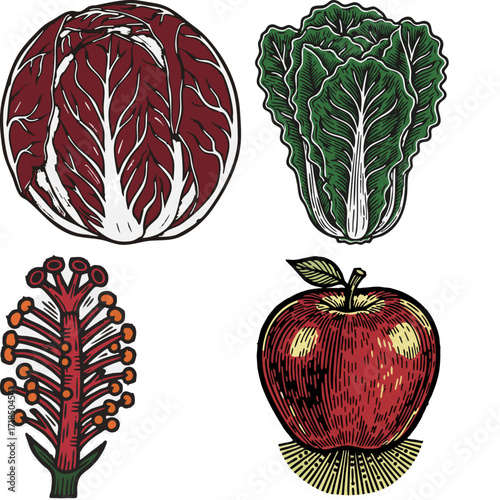 linocut print style fruits & plants