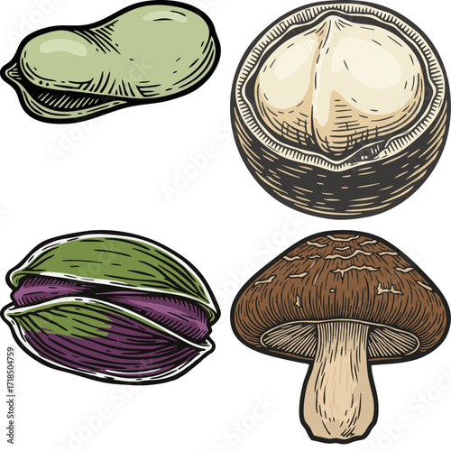 linocut print style fruits & plants