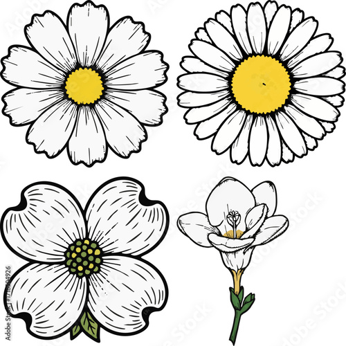 linocut print style fruits & plants