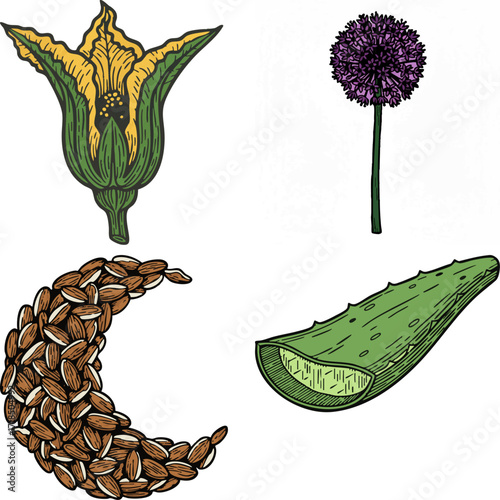 linocut print style fruits & plants