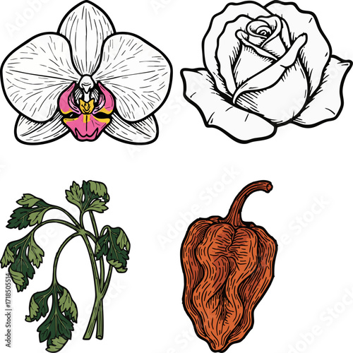 linocut print style fruits & plants