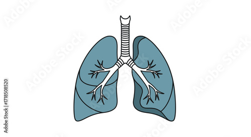 Illustration Vector SVG of Lungs Anatomy in Teal Color Flat Design