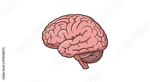 Illustration Vector SVG of a Brain Detailed Pink Anatomical Illustration