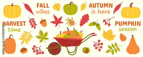 Flat vector colorful autumn set with pumpkins, leaves, berries, acorns, pine cone, chestnut and wheelbarrow. For background, card, thanksgiving, banner, crafts, harvest, fall, kids, seasonal design.