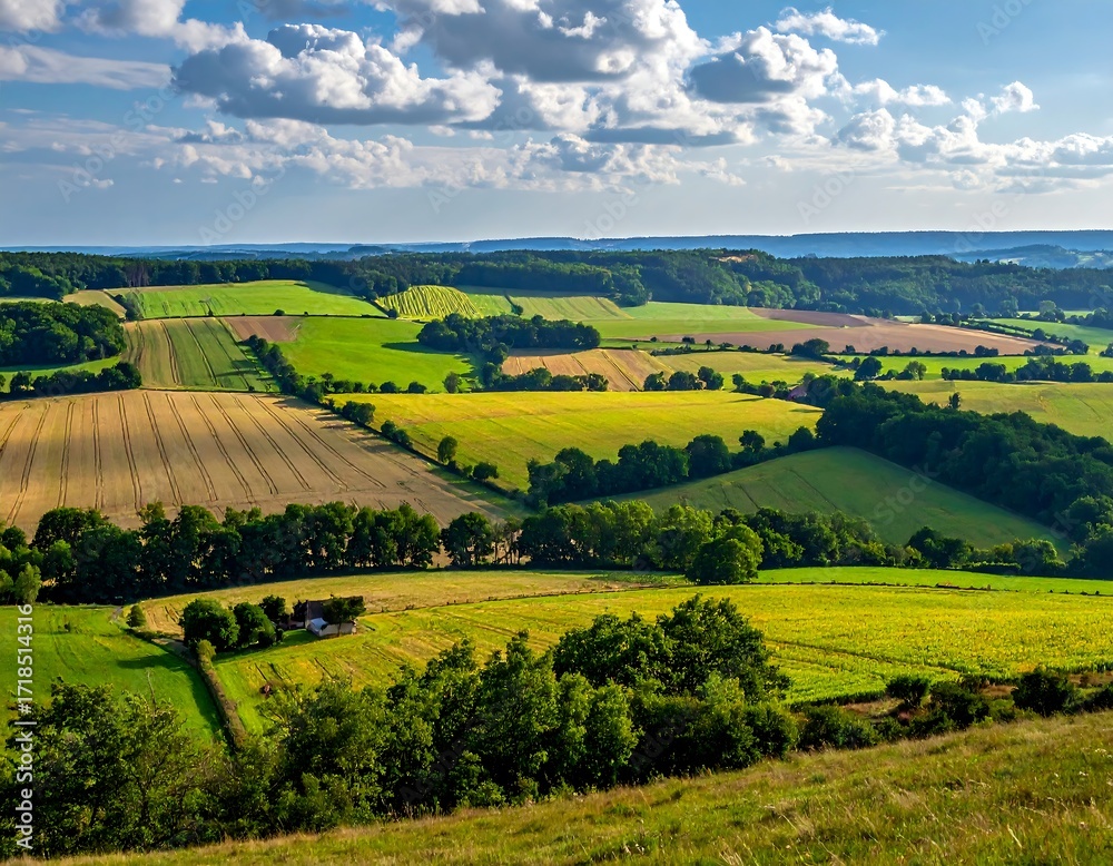 Fototapeta premium Panoramic rural landscape