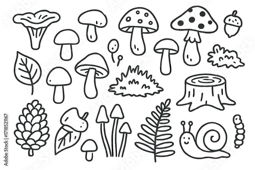 Woodland Doodle Illustration. Hand-drawn doodle illustration Woodland fungi, mushroom, toadstool, spore, cap, stem, gills, forest leaf, acorn, pine cone,