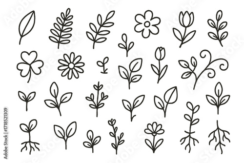Botanical Doodle Illustrations. Hand-drawn doodle illustration Botanical motifs [leaf, fern, branch, flower, tulip, clover, daisy, sprout, bud, vine, stem,