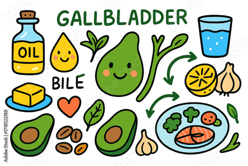 Gallbladder Health Doodles. Colorful Hand-drawn doodle Children illustration Gallbladder and bile gallbladder organ, bile drop, oil bottle, butter piece,