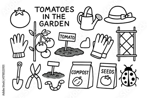 Garden Tomato Doodles. Hand-drawn doodle illustration [Tomatoes in the garden] [ripe tomato, tomato vine, garden stake, watering can, sun hat, garden gloves,
