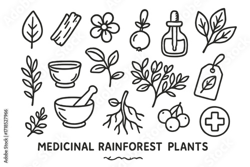 Medicinal Rainforest Botany. Hand-drawn doodle illustration Medicinal Rainforest Plants herb leaf, bark strip, flower, fruit, dropper, potion bottle, leaf