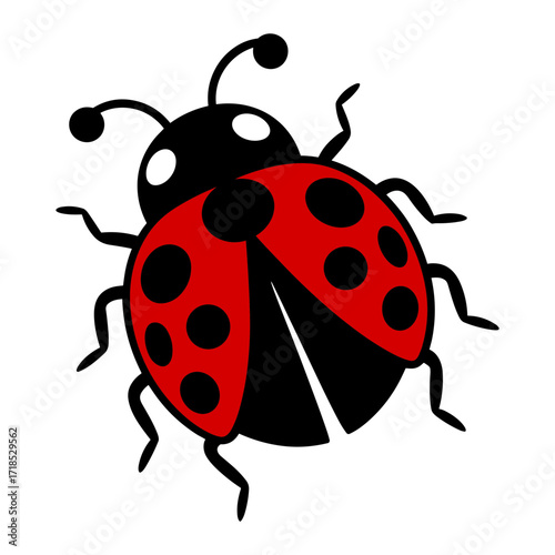 Ladybug