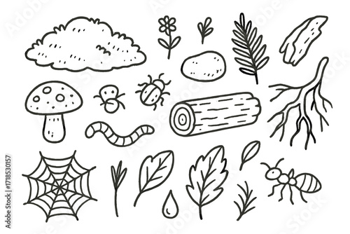 Mossy Forest Floor Doodles. Hand-drawn doodle illustration [Mossy forest floor] [moss patch, stone, tiny flower, fern, mushroom, bug, log, bark piece, worm,