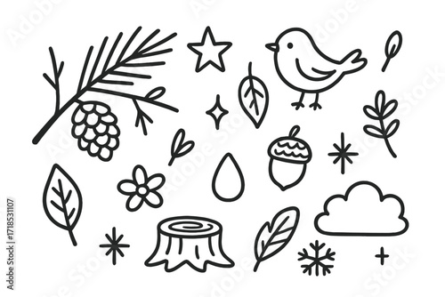 Nature Doodle Elements. Hand-drawn doodle illustration Pine Branch [pine branch, needles, pine cone, twig, star, leaf, bird, acorn, sparkles, stump, flower,