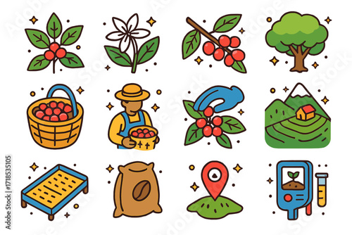 Isometric Coffee Farming Icons. Colorful isometric vector icons set of coffee cultivation and farming: coffee plant, blooming coffee flower, coffee cherries on