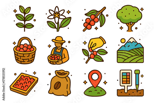 Isometric Coffee Farming Icons. Colorful isometric vector icons set of coffee cultivation and farming: coffee plant, blooming coffee flower, coffee cherries on