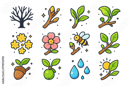 Tree Life Cycle Icons. Colorful isometric vector icons set of Tree life cycles in early spring: dormant tree silhouette, swelling buds, first sprout, tiny leaf