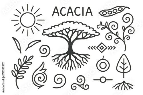 Acacia Doodle Art. Hand-drawn doodle illustration Acacia in art and symbolism Acacia tree, sunburst, branch curve, leaf swirl, pod, thorn, line icon, tribal