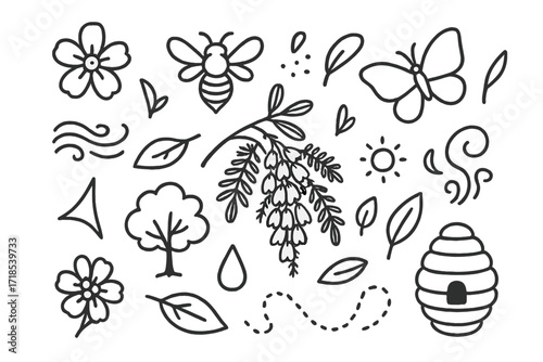 Acacia Pollinators Doodle. Hand-drawn doodle illustration Acacia and pollinators flower, bee icon, butterfly, wind lines, pollen icon, petal, branch, hive,