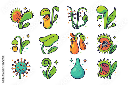 Isometric Carnivorous Plant Icons. Colorful isometric vector icons set of carnivorous plants: Venus flytrap, pitcher plant, sundew tendrils, cobra lily,