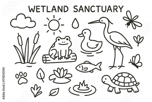 Wetland Wildlife Icons. Hand-drawn doodle illustration Wetland Sanctuary [frog, duck, heron, fish, water lily, reeds, droplet, cloud, sun, dragonfly, turtle,