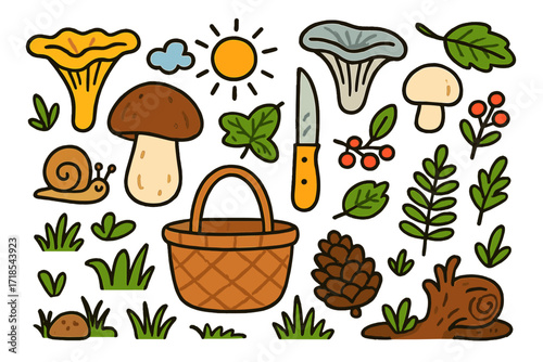 Edible Mushroom Doodles. Colorful Hand-drawn doodle Children illustration Edible mushrooms [chanterelle, porcini, oyster mushroom, button mushroom, basket,