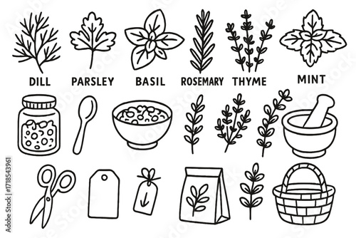 Herb Doodle Collection. Hand-drawn doodle illustration dill and herbs collection dill sprig, parsley, basil, rosemary, thyme, oregano, mint, jar, spoon, bowl,